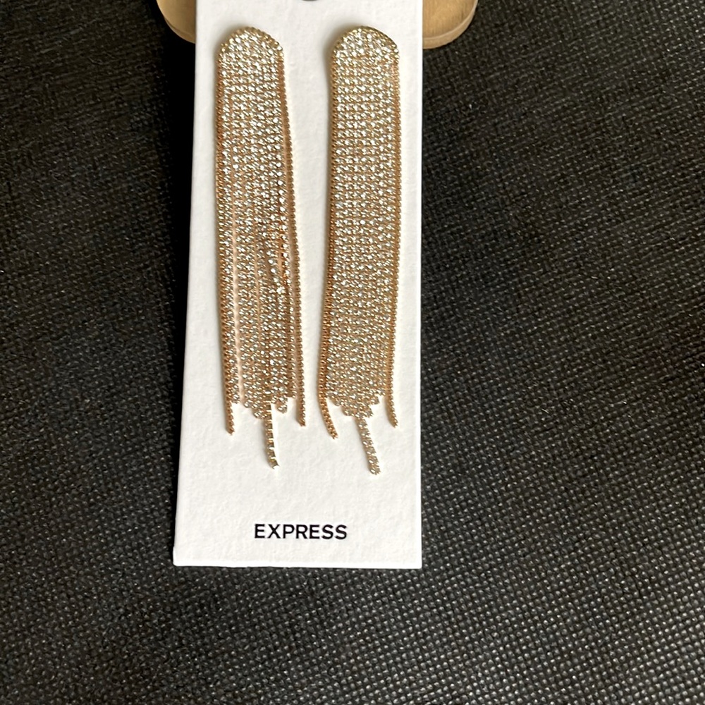 Earrings Express